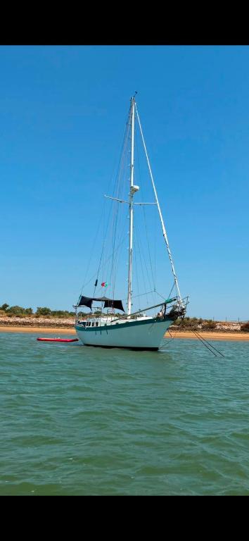 Sailboat RAVER