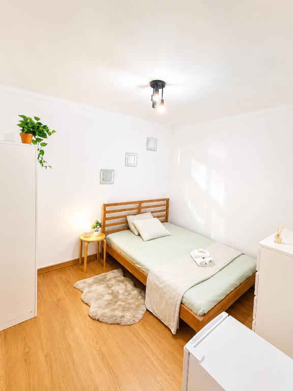 Charming room in beautiful Campo de Ourique