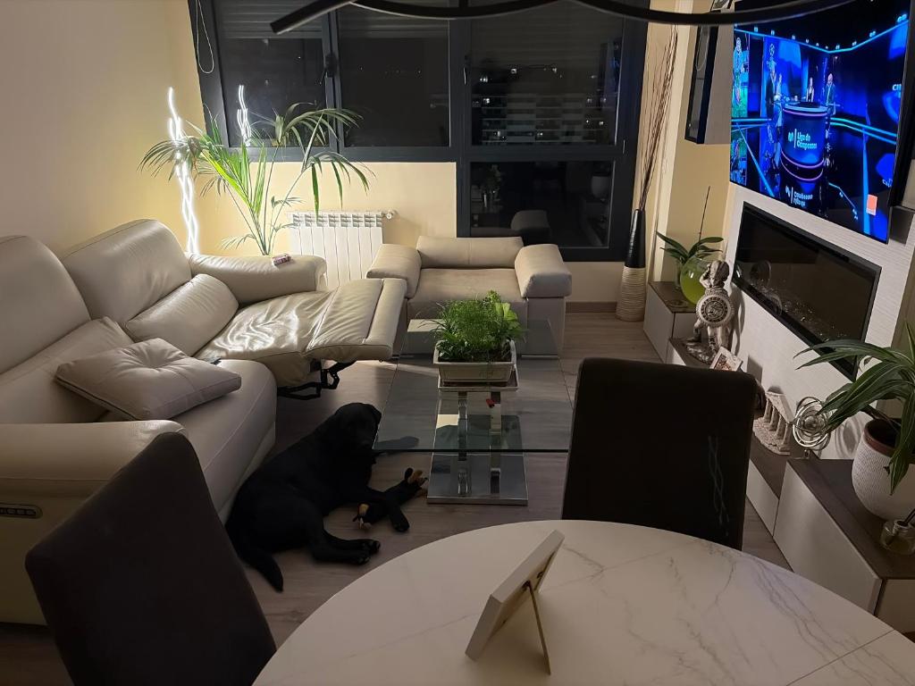 Apartamento Sergio deluxe