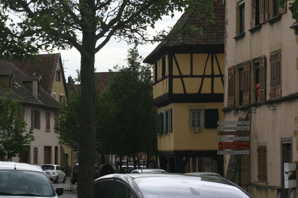 Gite duplex du vignoble Alsace – photo 38