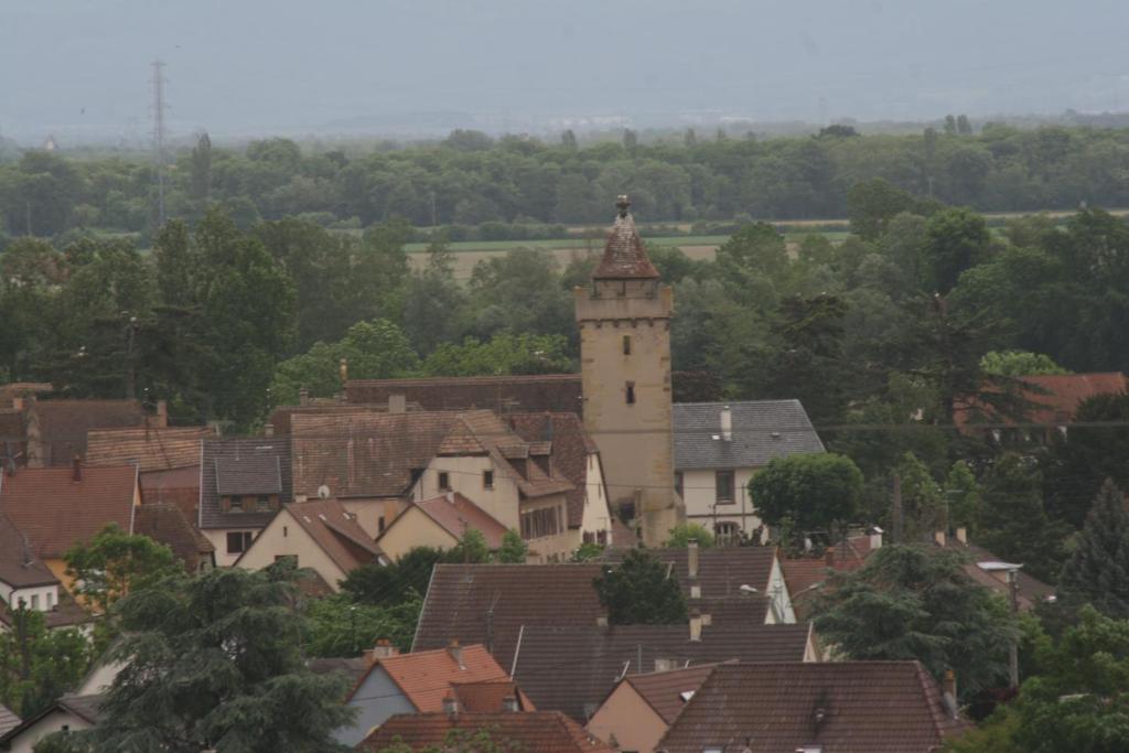 Gite duplex du vignoble Alsace – photo 25
