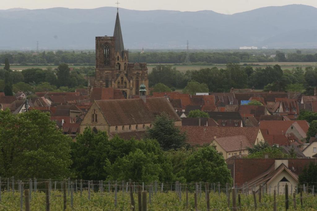 Gite duplex du vignoble Alsace – photo 34