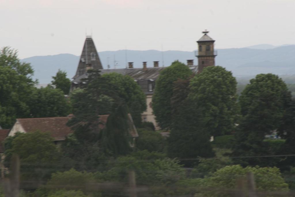 Gite duplex du vignoble Alsace – photo 39