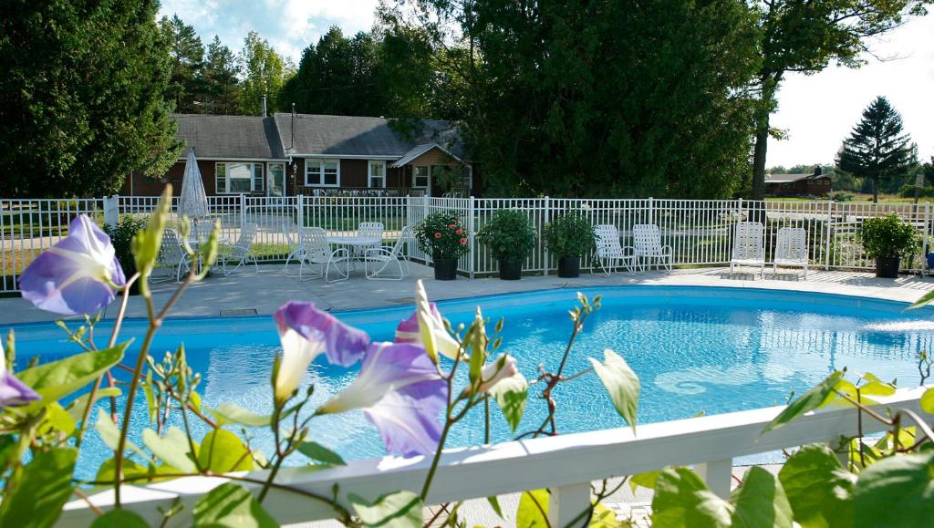 Peninsula Park-View Resort photo