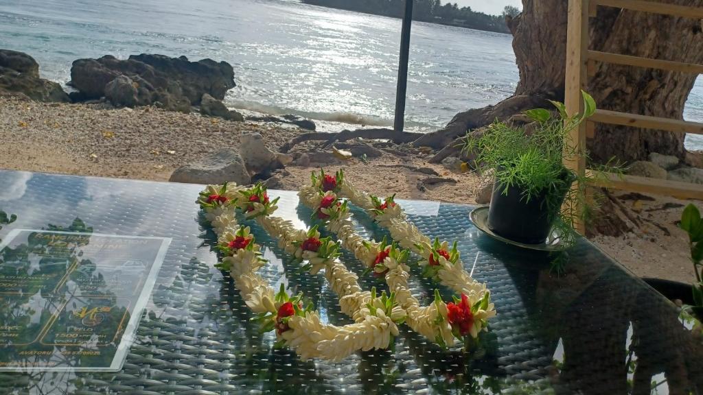 Chez Mihiau Camping Tiputa-Rangiroa - photo 2 - Rangiroa, Polynésie