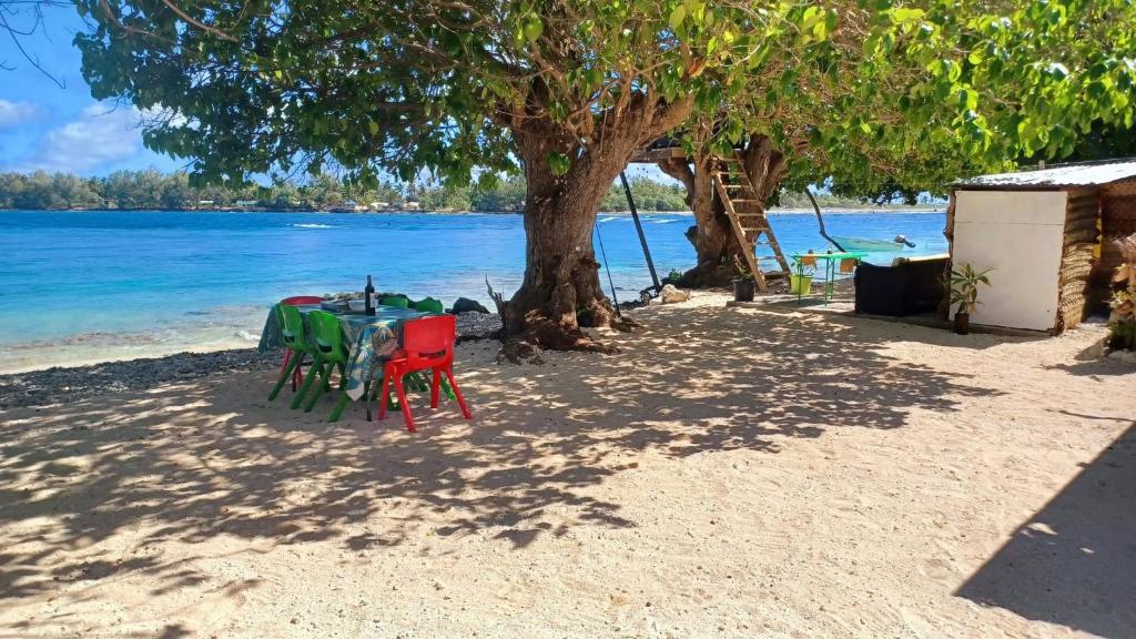Chez Mihiau Camping Tiputa-Rangiroa - photo 6 - Rangiroa, Polynésie