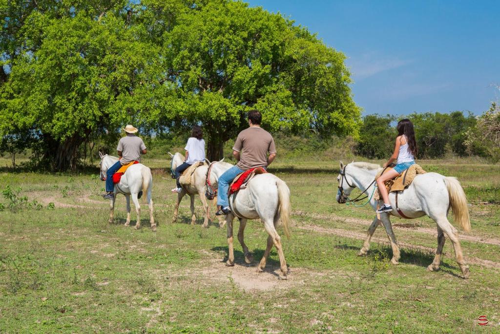  Hotel Pantanal Mato Grosso