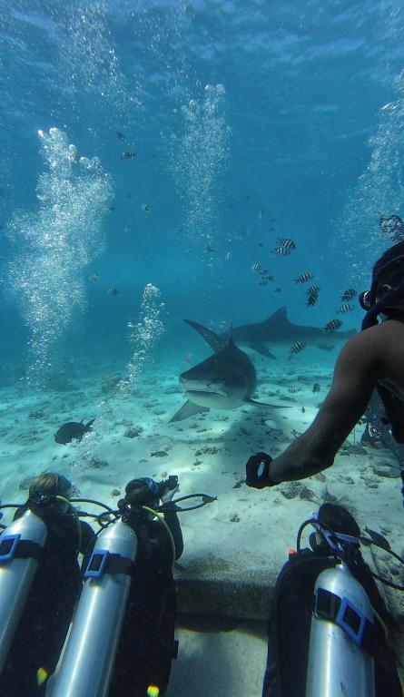Silver County Fuvahmulah Diving Hotel - View 1