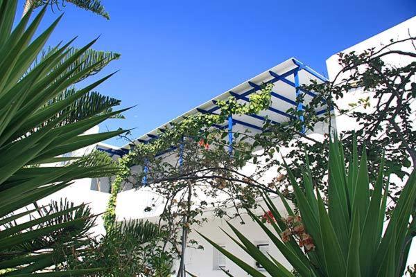 Vonkajšia záhrada v ubytovaní Loukia Apartments & Studios