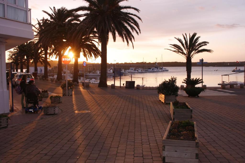 a street with palm trees and the ocean at sunset at Hostal S'Algaret in Fornells