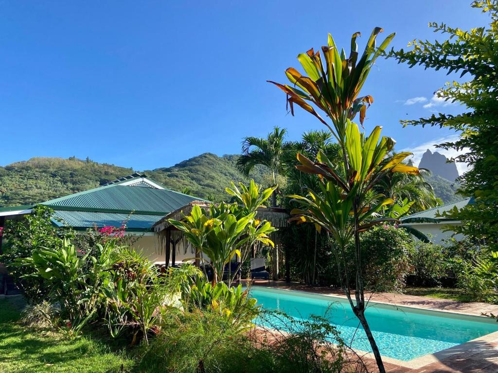 Vaianae Baie Villa Moorea - photo 4 - Moorea, Polynésie