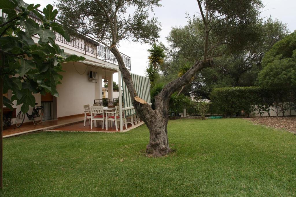 シラクーサにあるShort Lets Villa al Mare Siracusaの家庭の木