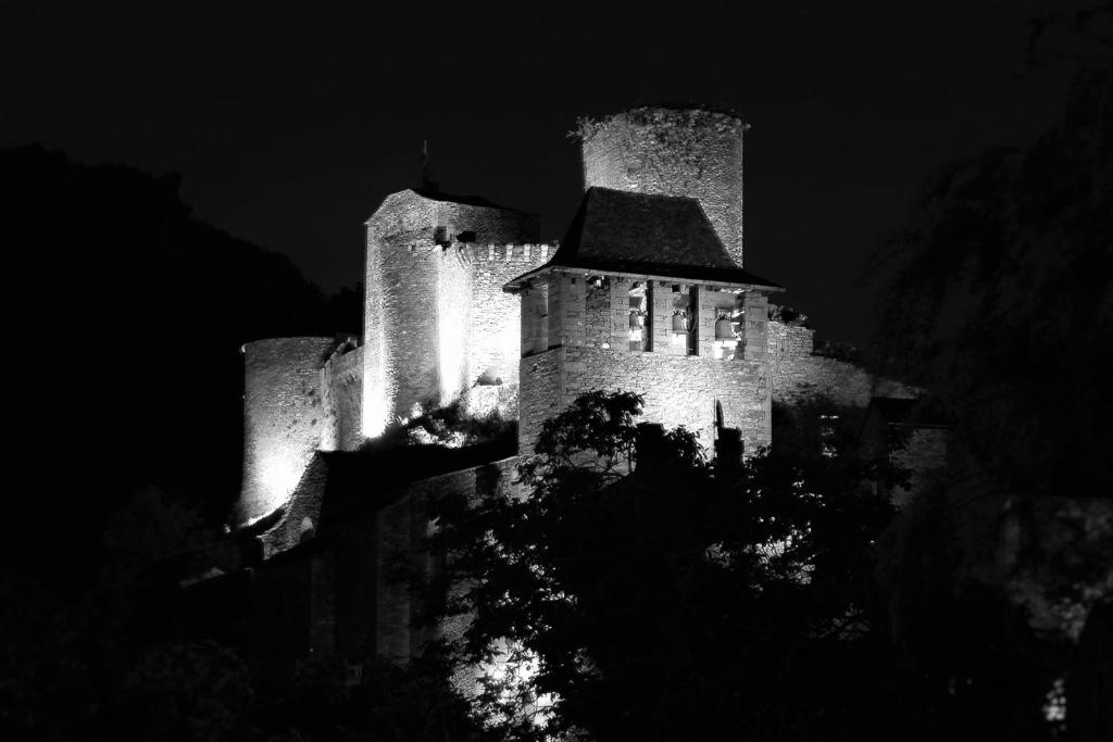 Fotografie z fotogalerie ubytování Hôtel Restaurant Le Relays du Chasteau - Logis Hôtel v destinaci Brousse-le-Château