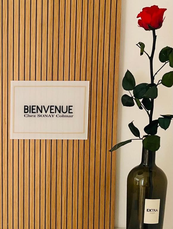 Magnifique appartement de 91m2 au centre de Colmar – photo 15