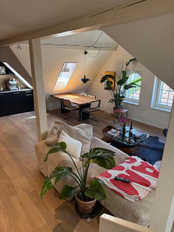 Designer duplex in heart of Bern with a view