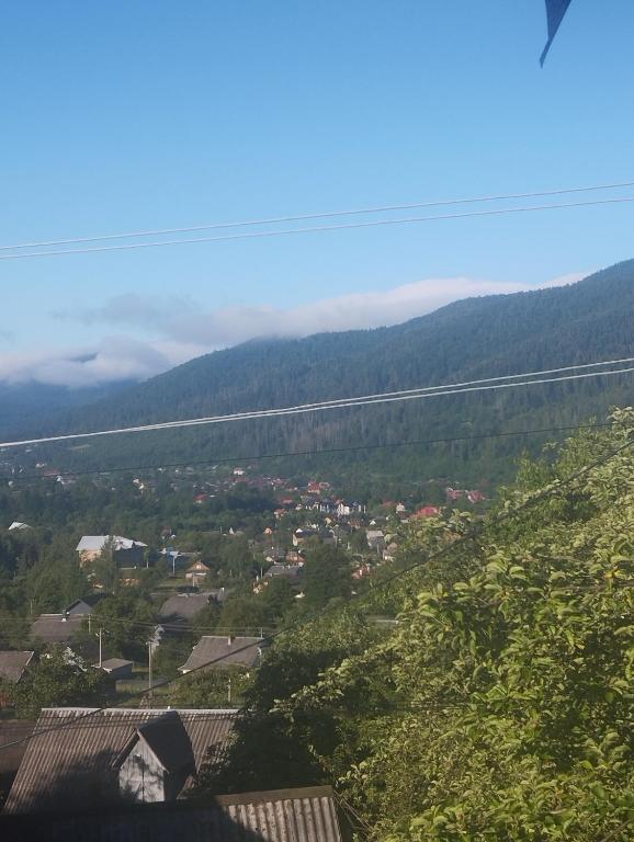 Микуличин на долоні 1 головне фото