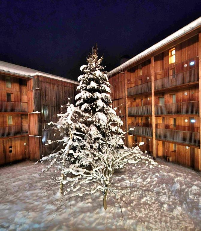 3 Glaciers Appartment C103