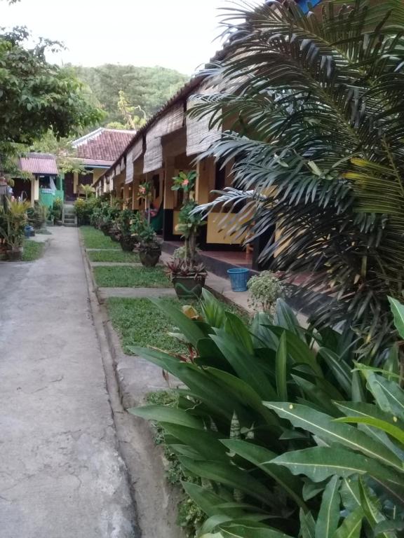 eine Reihe von Häusern mit Pflanzen davor in der Unterkunft Diyah Homestay in Kuta Lombok