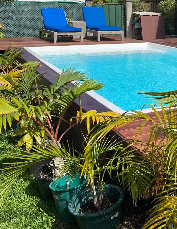 Bora Bora Inn Studio ANEI - photo 8 - Bora Bora, Polynésie