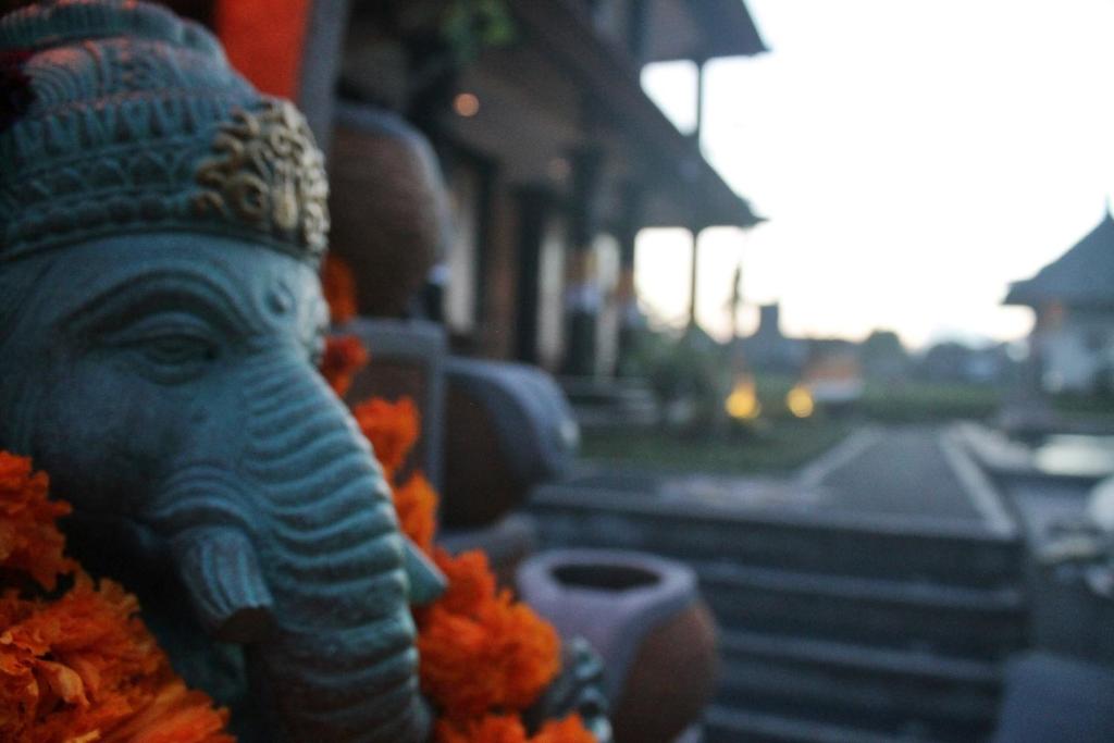 Fotografie z fotogalerie ubytování Surawan Bisma Ubud v Ubudu
