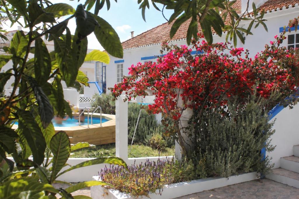 Maré Guesthouse - Garden, Yoga & Surf
