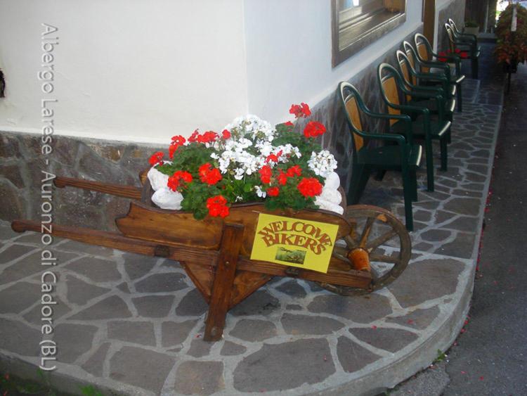 um vaso de flores num carrinho de madeira com flores vermelhas e brancas em Albergo Larese em Auronzo di Cadore