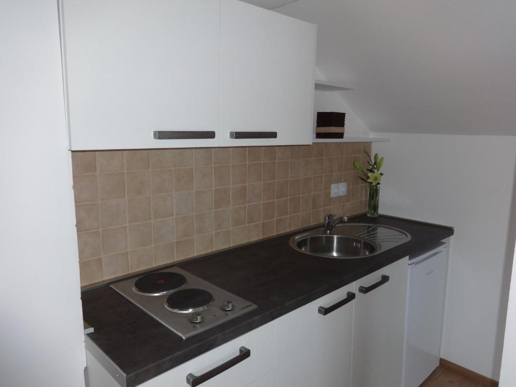 Kuchyňa alebo kuchynka v ubytovaní VIP Apartments & Room