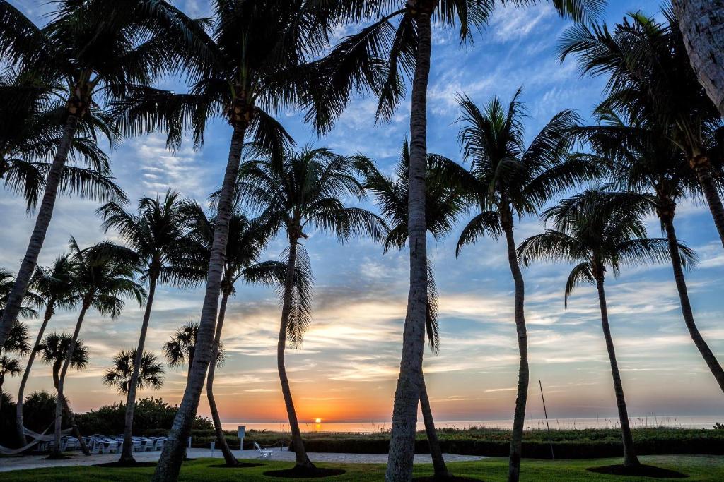 サニベルにあるSanibel Island Beach Resortの夕日前のヤシの木