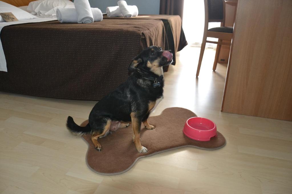 Hotel Corallo Rimini - Resim 17