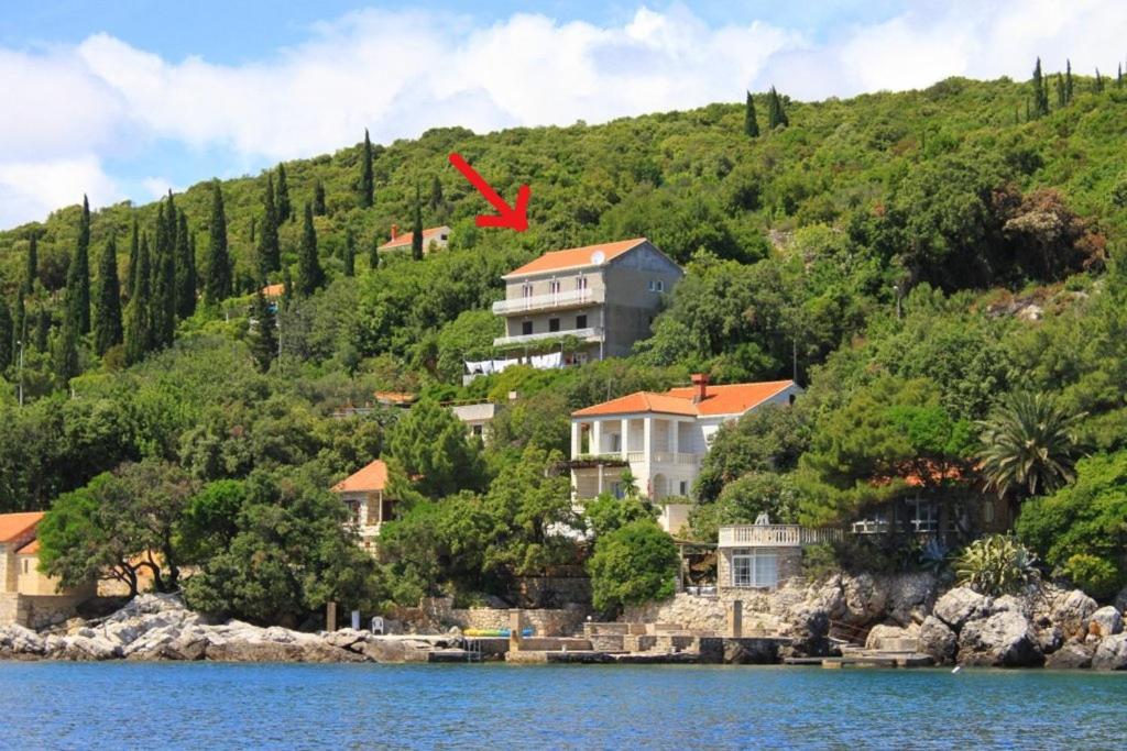 Příroda nedaleko apartmánu