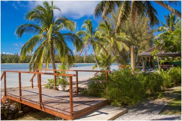 uma plataforma de madeira numa praia com palmeiras em Kura's Kabanas em Rarotonga