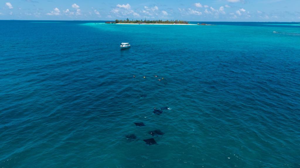 Fushifaru Maldives - View 10