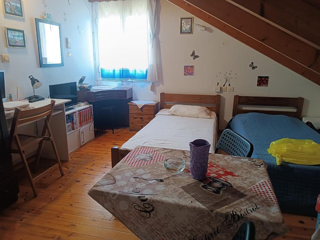 Diogenis loft studio B near town center