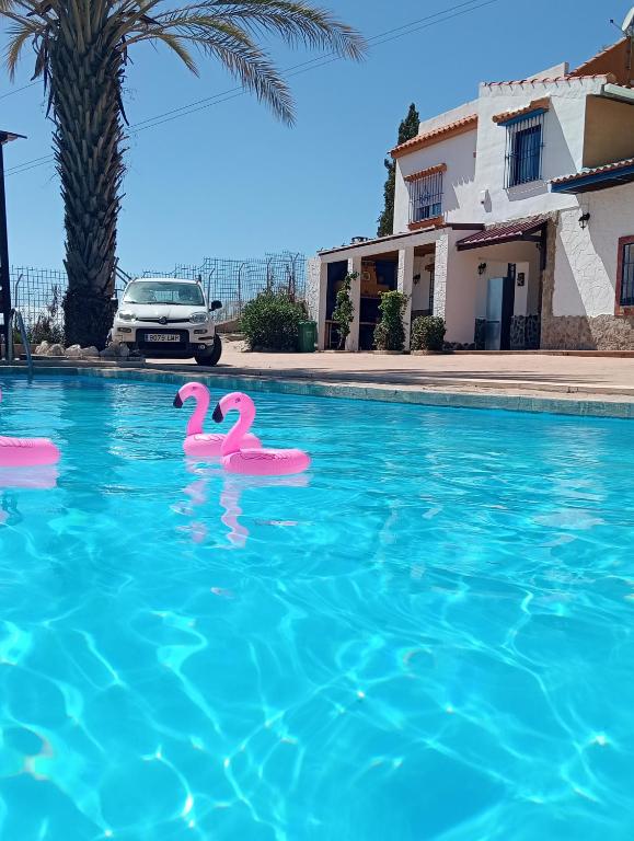 Villa Cielo Málaga