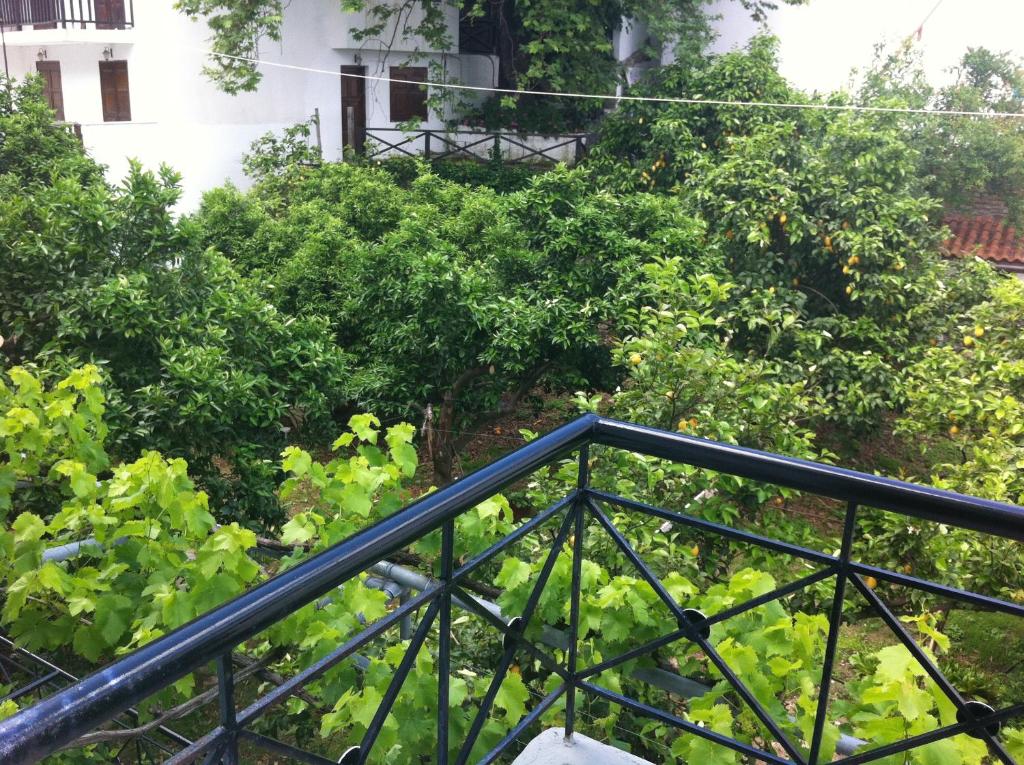 Ogród w obiekcie Hotel Eleana
