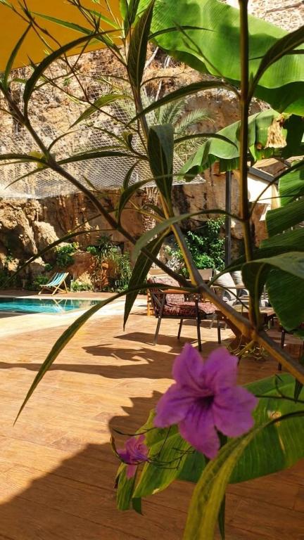 لابی و فضای عمومی The Little Prince Hotel - تصویر ۵