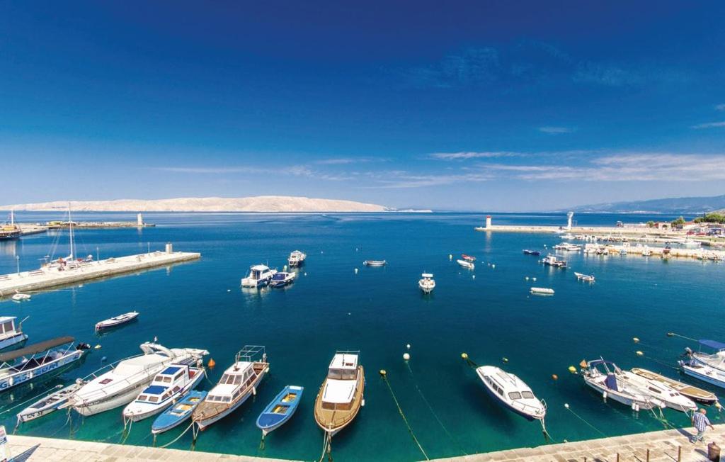a group of boats are docked in a harbor at Apartments Valiža in Senj