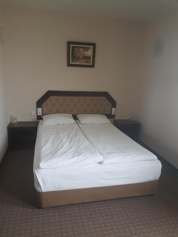 Postel nebo postele na pokoji v ubytování Hotel Podkovata