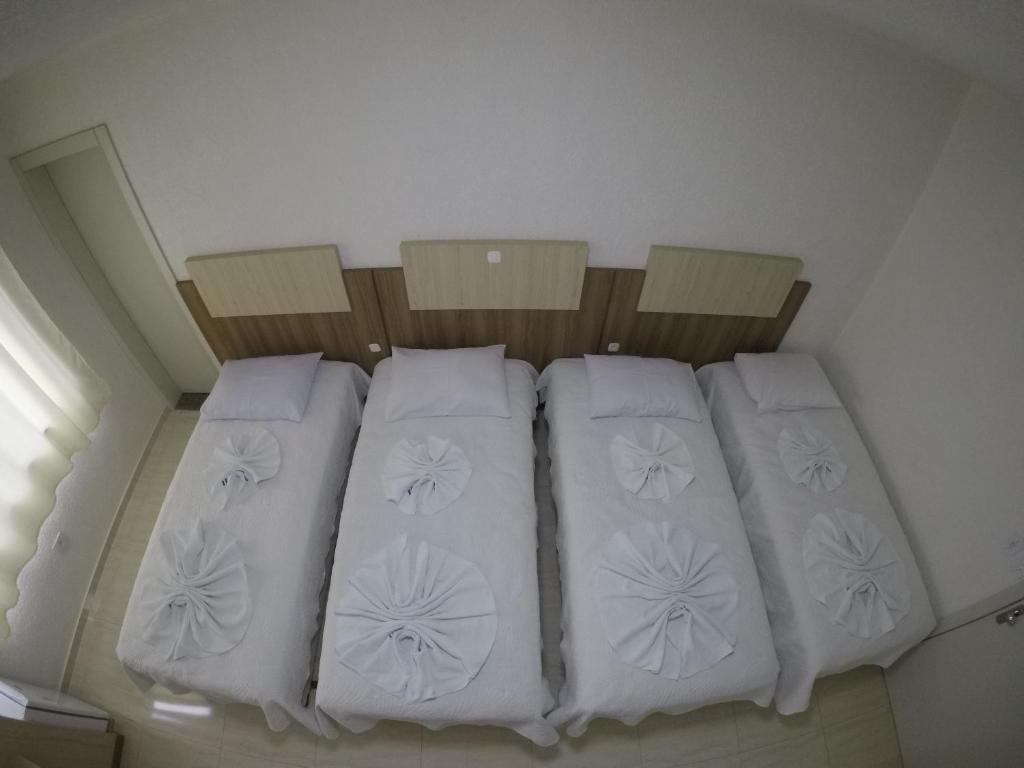  Hotel Dove