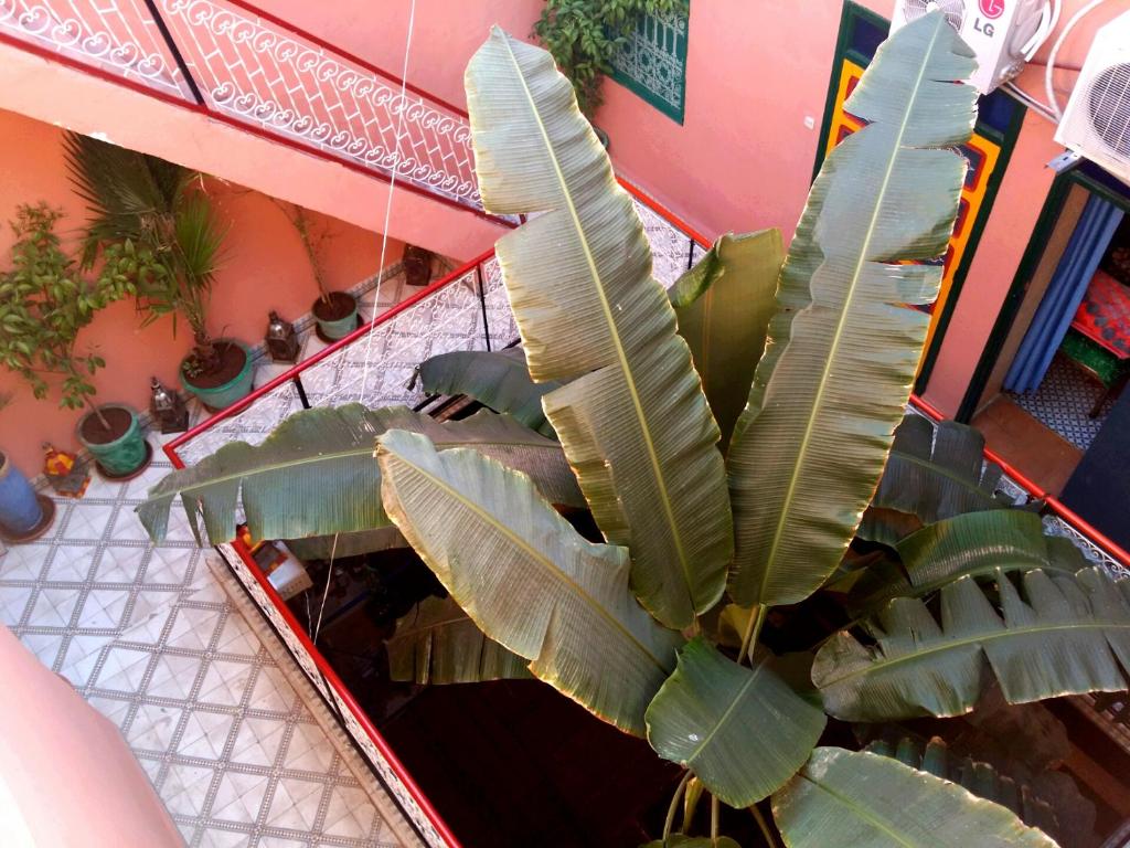 Foto dalla galleria di Riad Espagne a Marrakech