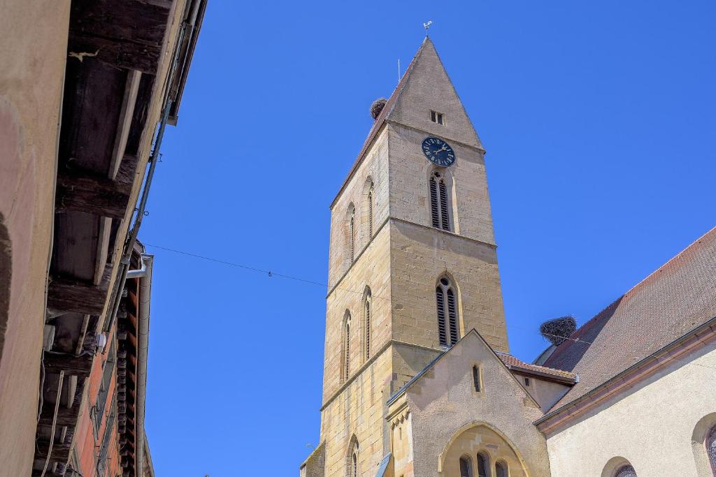 Le Zen – photo 24