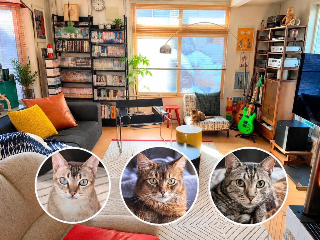 猫と暮らす家 駐車場有English Español available 深夜のチェックイン対応
