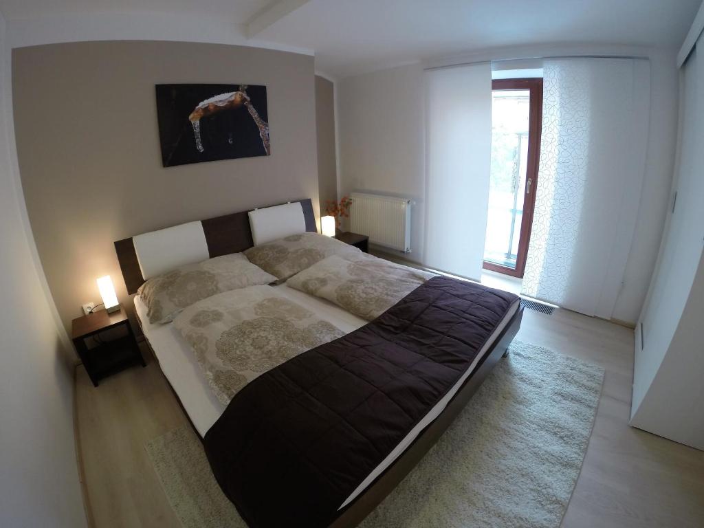Apartmány Cechovní - 15