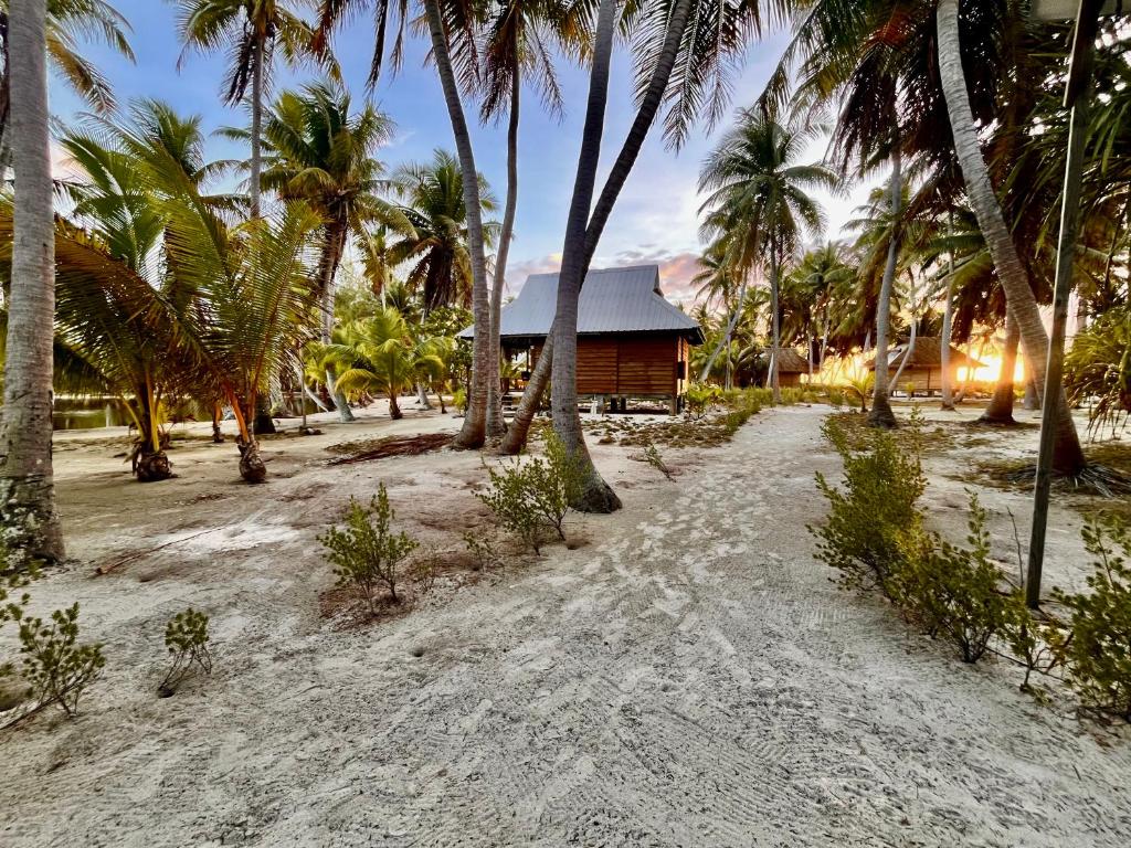 Aotera Guest House II - photo 3 - Rangiroa, Polynésie