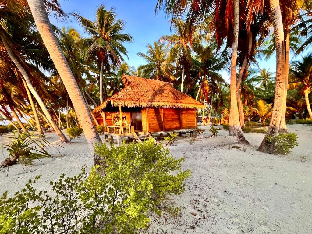 Aotera Guest House II - photo 7 - Rangiroa, Polynésie