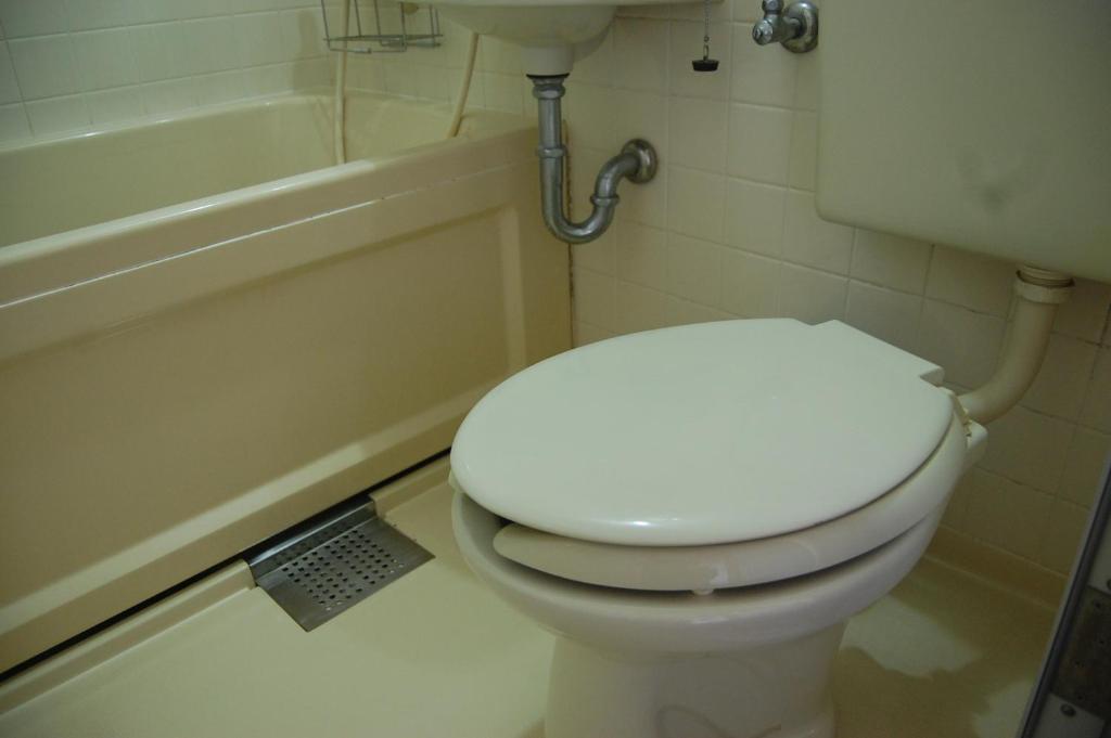 a bathroom with a white toilet and a bath tub at Minshuku Namisou in Iriomote