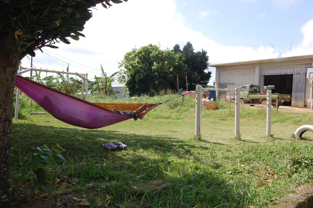 a hammock hanging from a tree in a yard at Minshuku Namisou in Iriomote