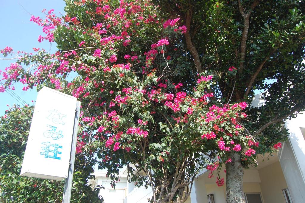 a tree with pink flowers in front of a building at Minshuku Namisou in Iriomote