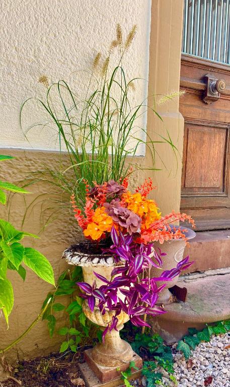 La Villa Alma Colmar – photo 18