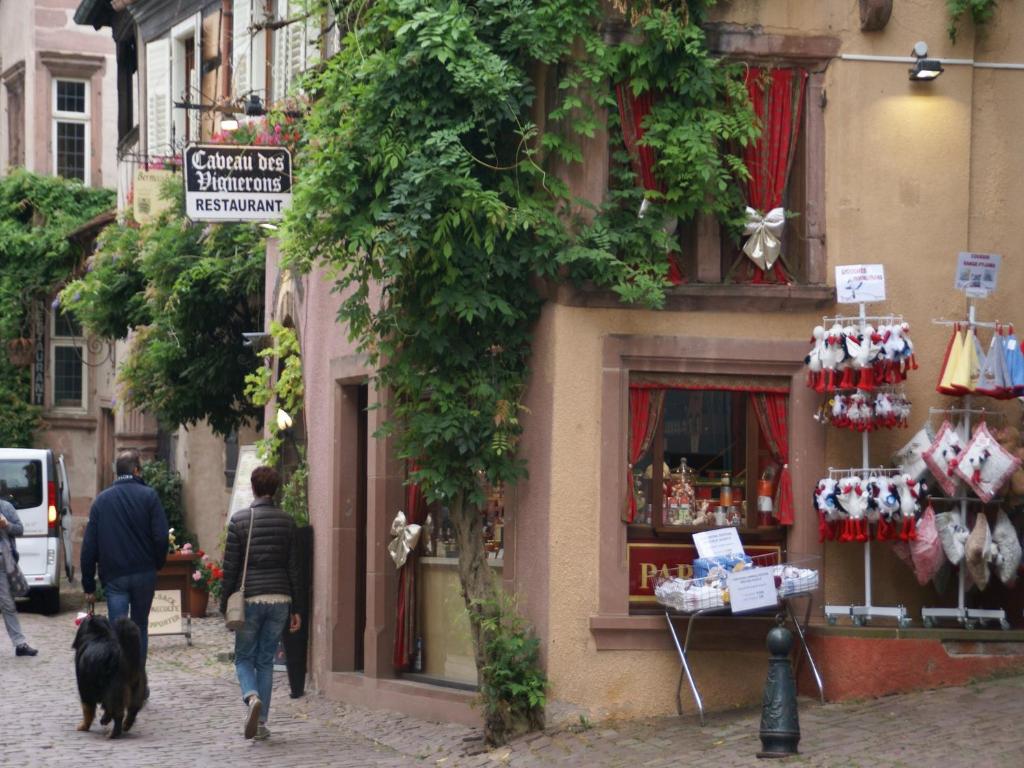 An apartment in a 17th century wine grower s house – photo 49